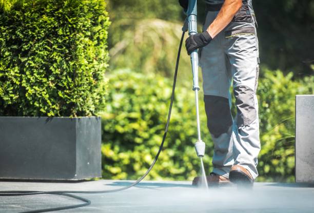 Animal Enclosure Cleaning in Chewelah, WA